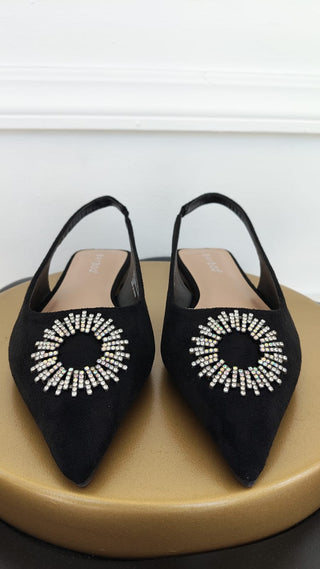 Zapato Shine