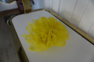 Flor Camelia