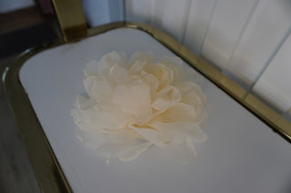 Flor Camelia