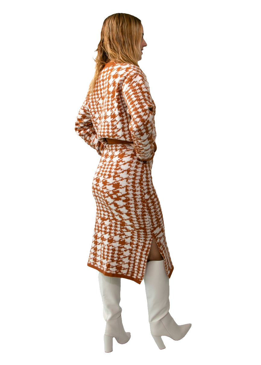 Set camel